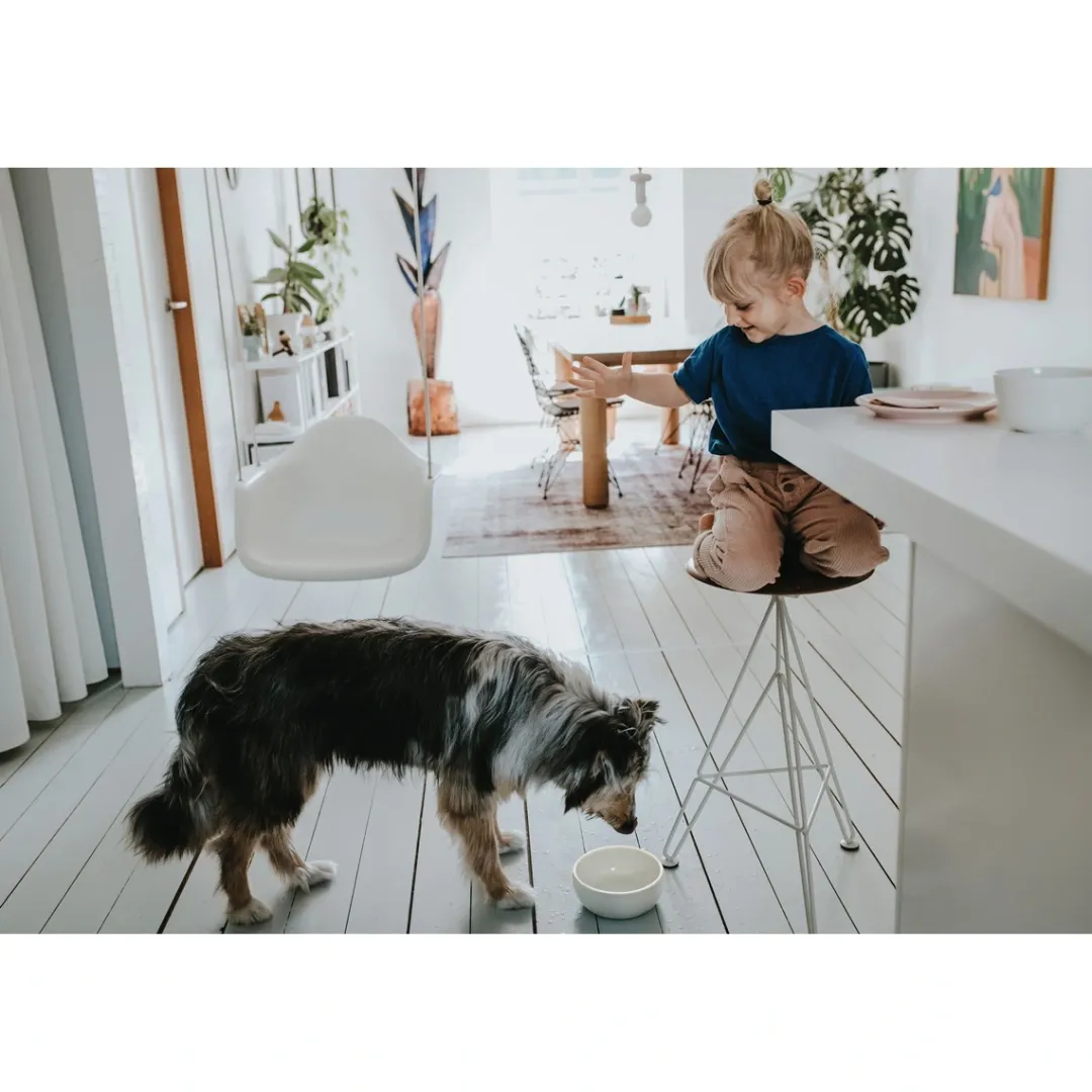 Hunter keramik Lund hunde skål 1500 ml Beige