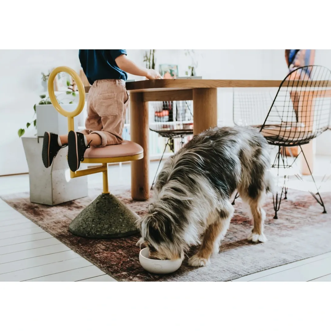 Hunter keramik Lund hunde skål 550 ml Beige