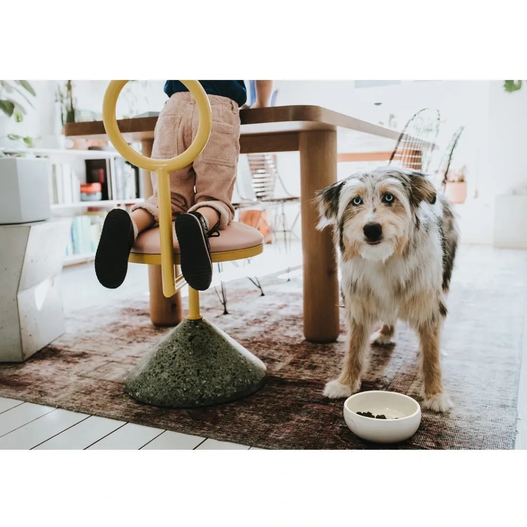 Hunter keramik Lund hunde skål 350 ml Beige