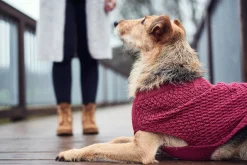 Hunter Malmø pullover strik bordeaux str. 25
