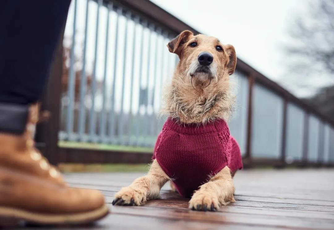 Hunter Malmø pullover strik bordeaux str. 30