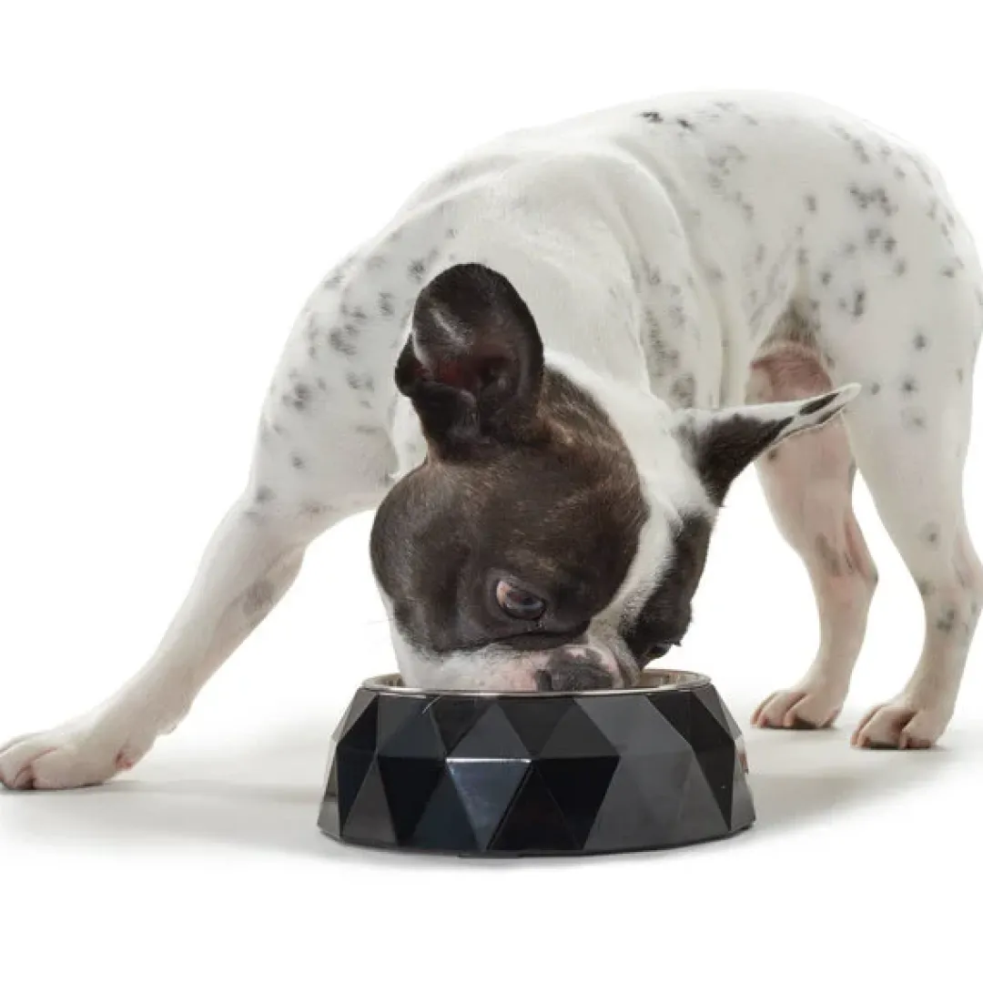 Hunter Melamine skål Kimberley sort 700 ml