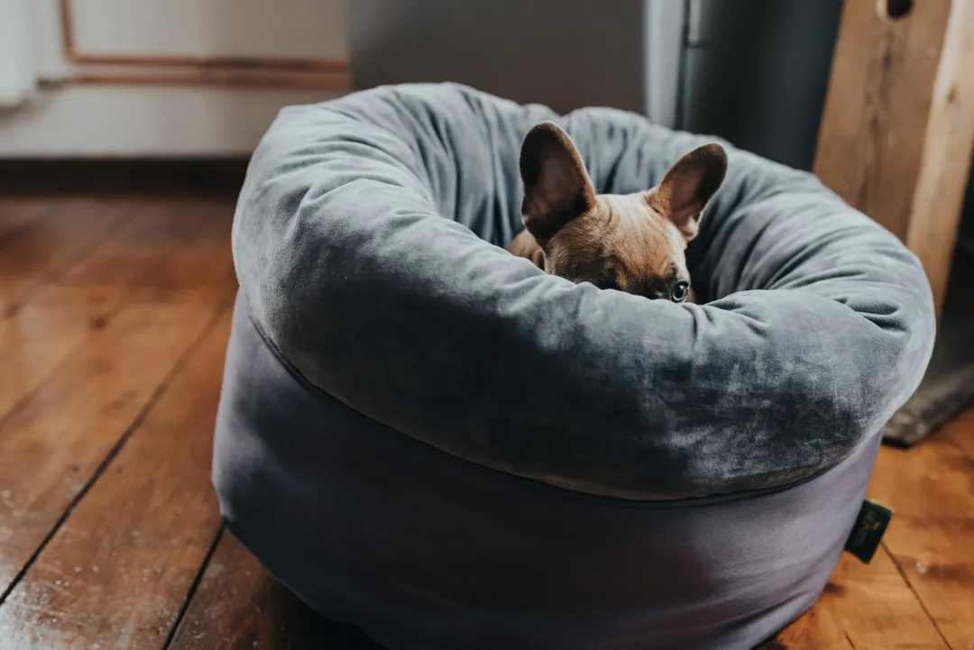 Hunter Miranda donut seng M Ø 50 cm Mørkegrå