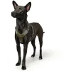 Hunter Mixed Aalborg læder hundesele XS-S grøn/grå hals 40-50 cm - komfort og kvalitet