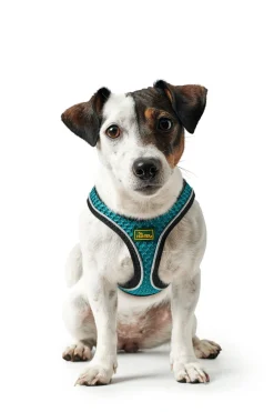 Hunter NY Hilo Comfort hundesele turkis M