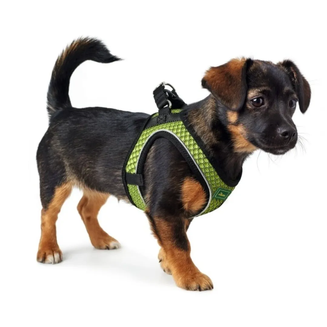Hunter NY Hilo Comfort hundesele XS lime mave/bryst 36-40 cm - Let komfort og fri bevægelse