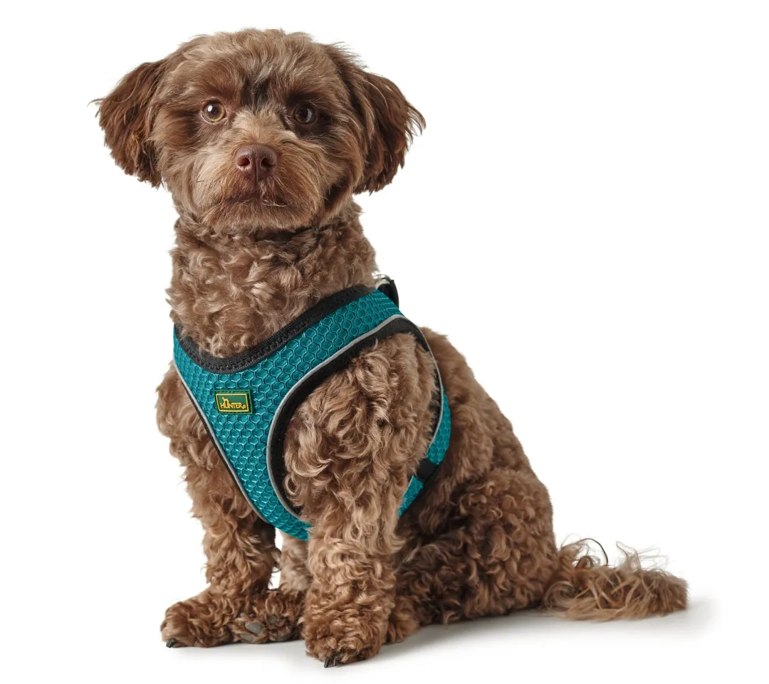 Hunter NY Hilo Comfort hundesele XS turkis mave/bryst 36-40 cm - Let komfort og fri bevægelse