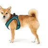 Hunter NY Hilo Comfort hundesele XS-S turkis mave/bryst 40-46 cm - Fleksibel komfort til små hunde