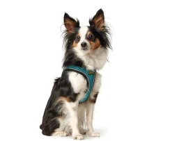 Hunter NY Hilo Comfort hundesele S turkis mave/bryst 46-52 cm - Let komfort og stabil pasform