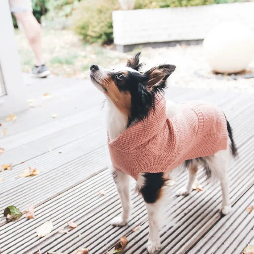 Hunter Röglatrøje 25 Rosa