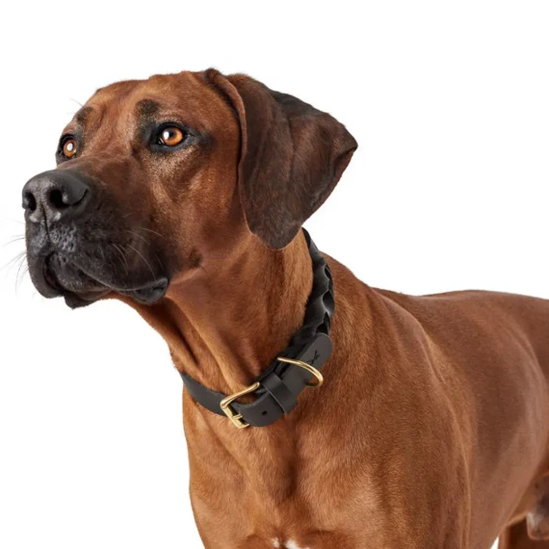 Hunter Sansibar Solid 60 Hundehalsbånd i læder - 48-54 cm