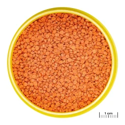 JBL ProNovo Bits Diskus Grano M 250 ml Click