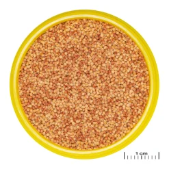 JBL ProNovo Color Grano S 100 ml