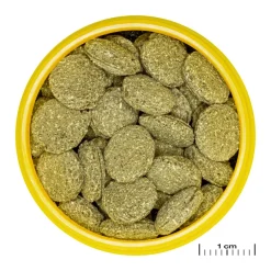 JBL Pronovo Pleco Wafer M 100 ml