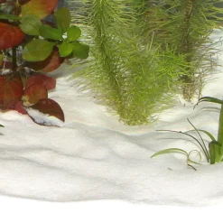 JBL Sansibar Snow 5 kg Akvariegrus
