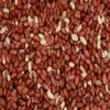 MiniZoo Jordnødder Afskallede 25 kg