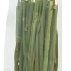 JR Farm Dild Stick 15 g