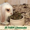 JR Farm JR Mælkebøtteurt 100 g