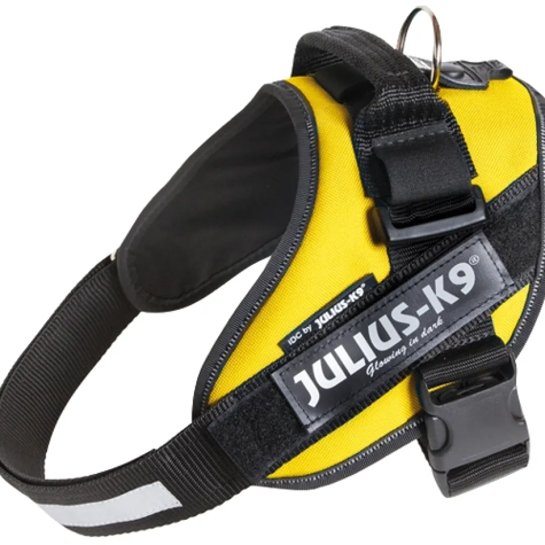 Julius K9 hundesele IDC Gul str Baby 1