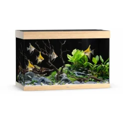 Juwel Akvarium Led Rio 290 Liter Eg