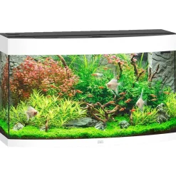 Juwel Akvarium Juwel Aquarium VISION 180 Hvid