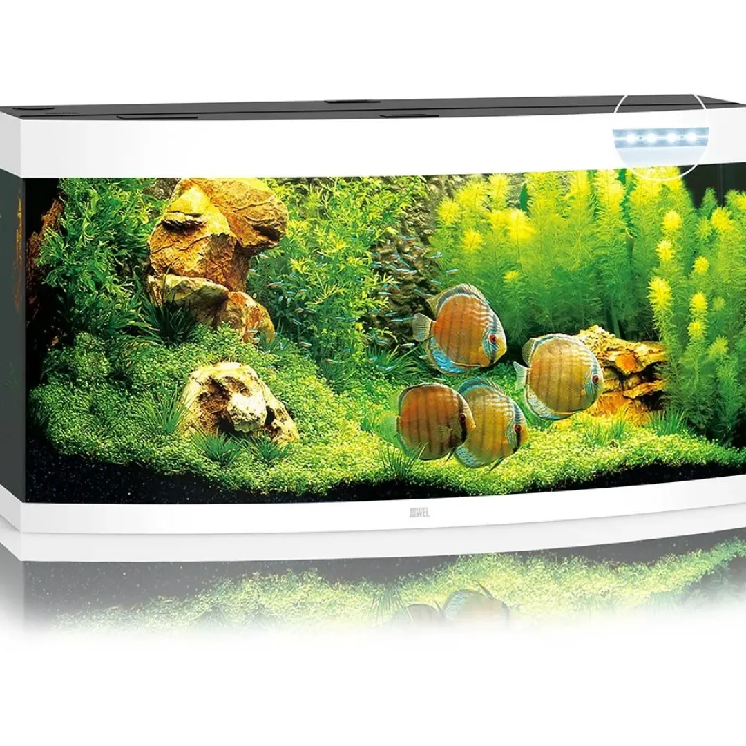 Juwel Akvarium Juwel Aquarium VISION 260 LED Hvid