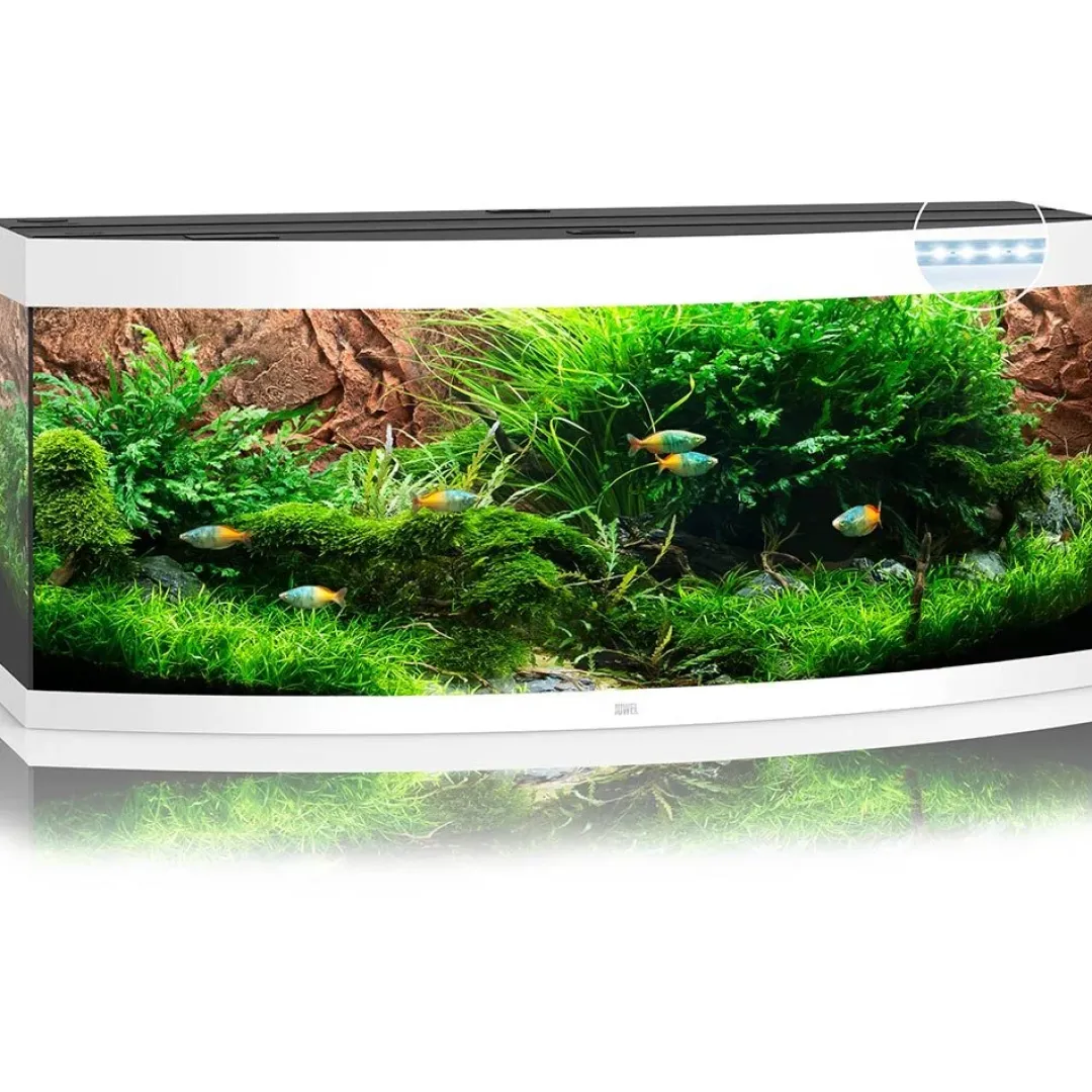 Juwel Akvarium Juwel Aquarium VISION 450 LED Hvid