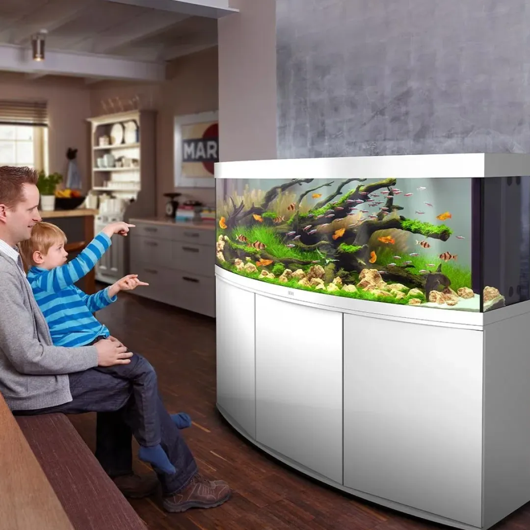 Juwel Akvarium Juwel Aquarium VISION 450 LED Hvid