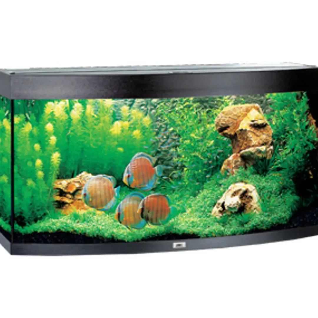 Juwel Akvarium Juwel Aquarium VISION 260 LED Sort