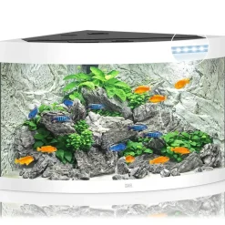 Juwel Akvarium Juwel Trigon 350 Hvidt Akvarium