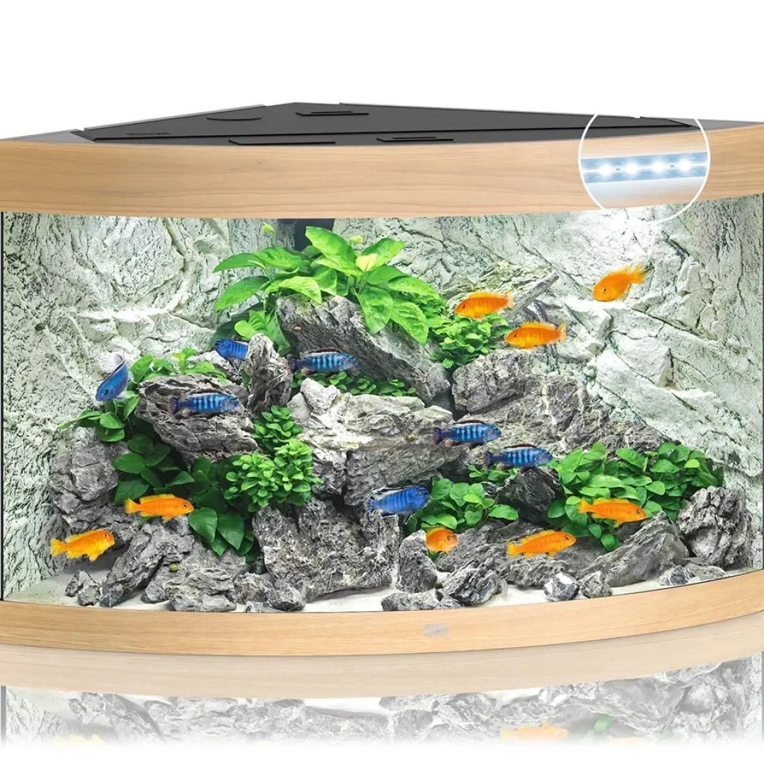 Juwel Akvarium Juwel Trigon 190 LED Eg Aquarium