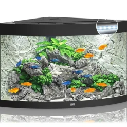 Juwel Akvarium Juwel Trigon 190 LED Sort Aquarium