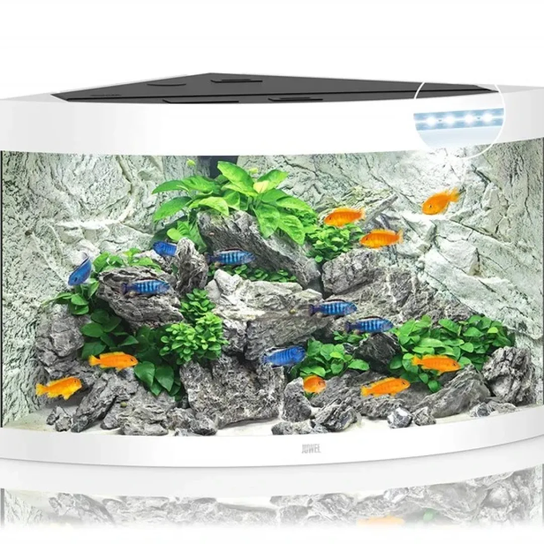 Juwel Akvarium Juwel Trigon 190 L hvidt Aquarium