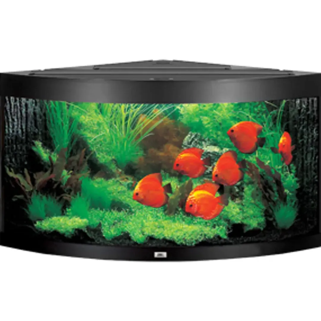 Juwel Akvarium Juwel Trigon 350 Sort Akvarium