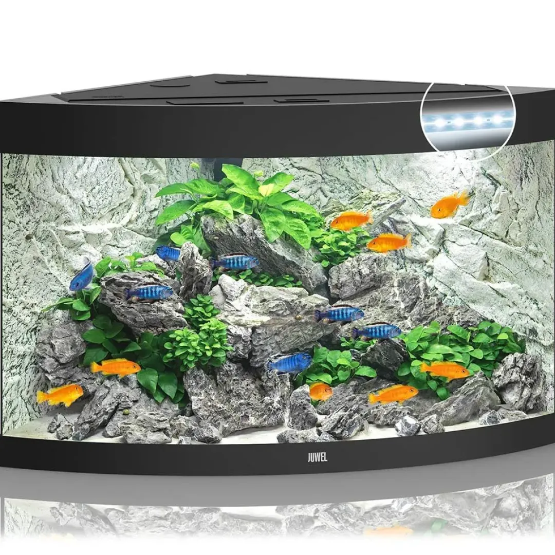 Juwel Akvarium Juwel Trigon 350 Sort Akvarium