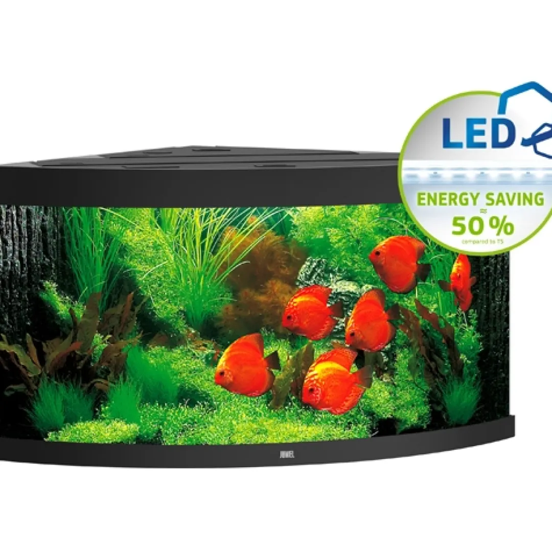 Juwel Akvarium Juwel Trigon 350 Sort Akvarium