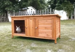 MiniZoo Kanin Udebur Ferie med ben i 159.5x67x82.5 cm