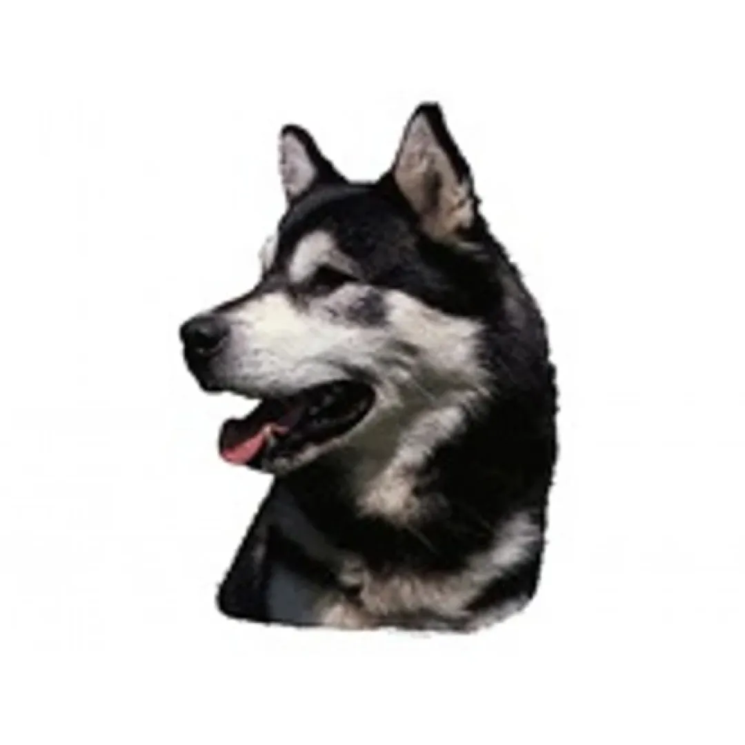 KW Hunde og Katteartikler Klistermærke af Alaskan Malamute Hoved Stor