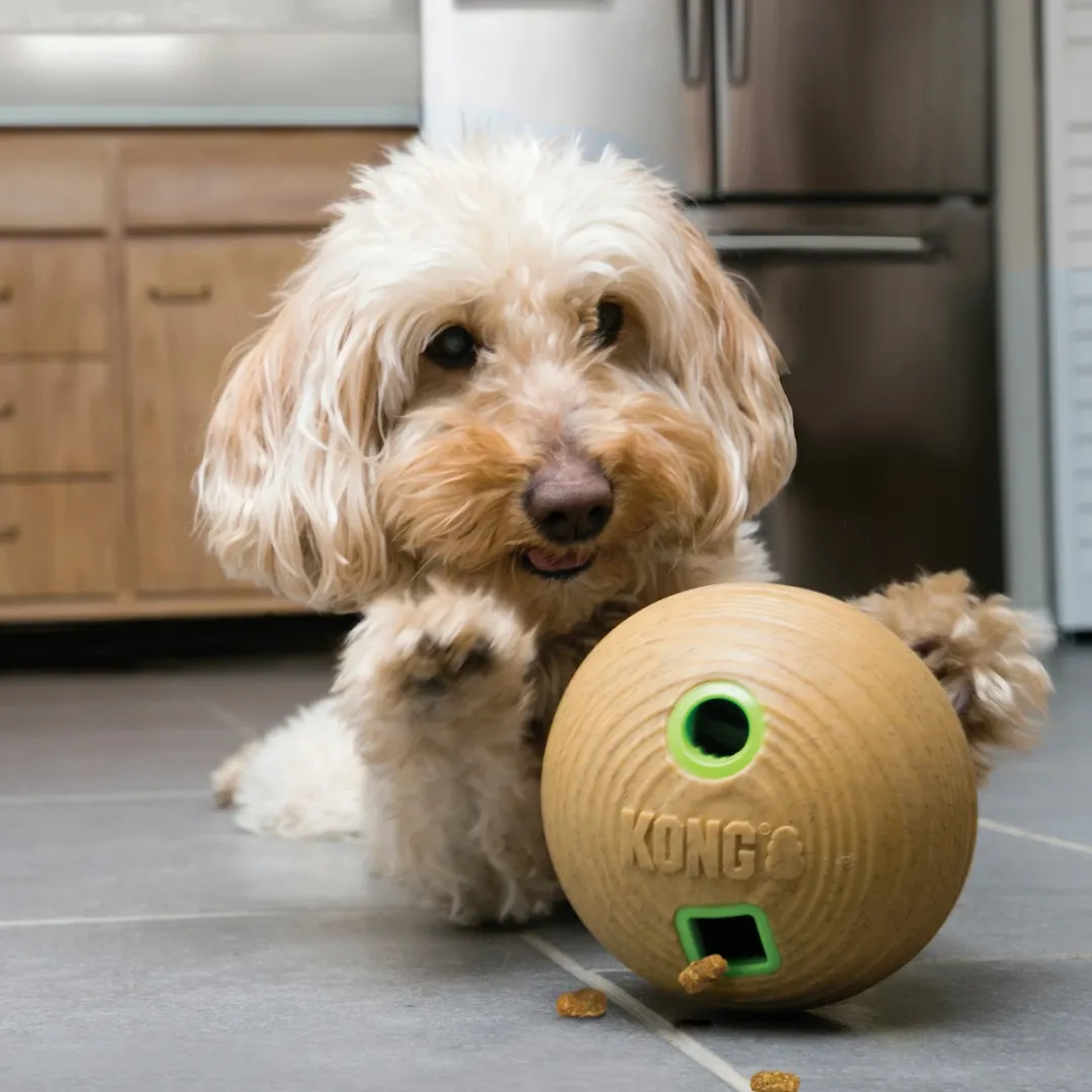 Kong Bamboo Ball 12 cm - aktiveringslegetøj til hunde