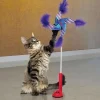 Kong Cat Connects Switch Teaser Pinwheel