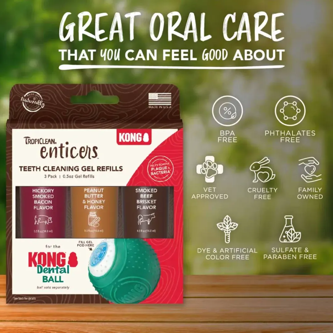Kong Dental Ball gel refill 3 pack