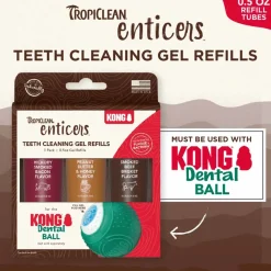 Kong Dental Ball gel refill 3 pack