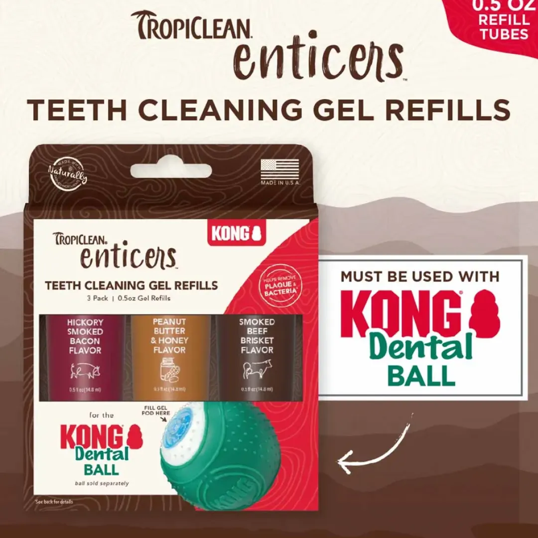 Kong Dental Ball gel refill 3 pack