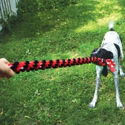 Kong Signature Reb Dobbelt Ring 23 cm Flerfarvet - hundelegetøj