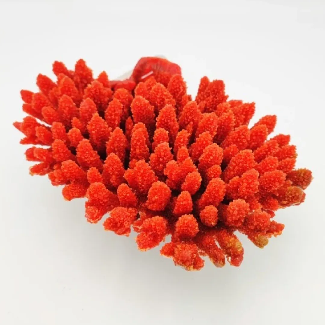 Blau - Aquaristic Kunstig koral Acropora florida (Red) 20x14x8 cm