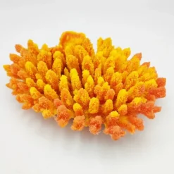 Blau - Aquaristic Kunstig koral Acropora millepora (Yellow/Pink)
