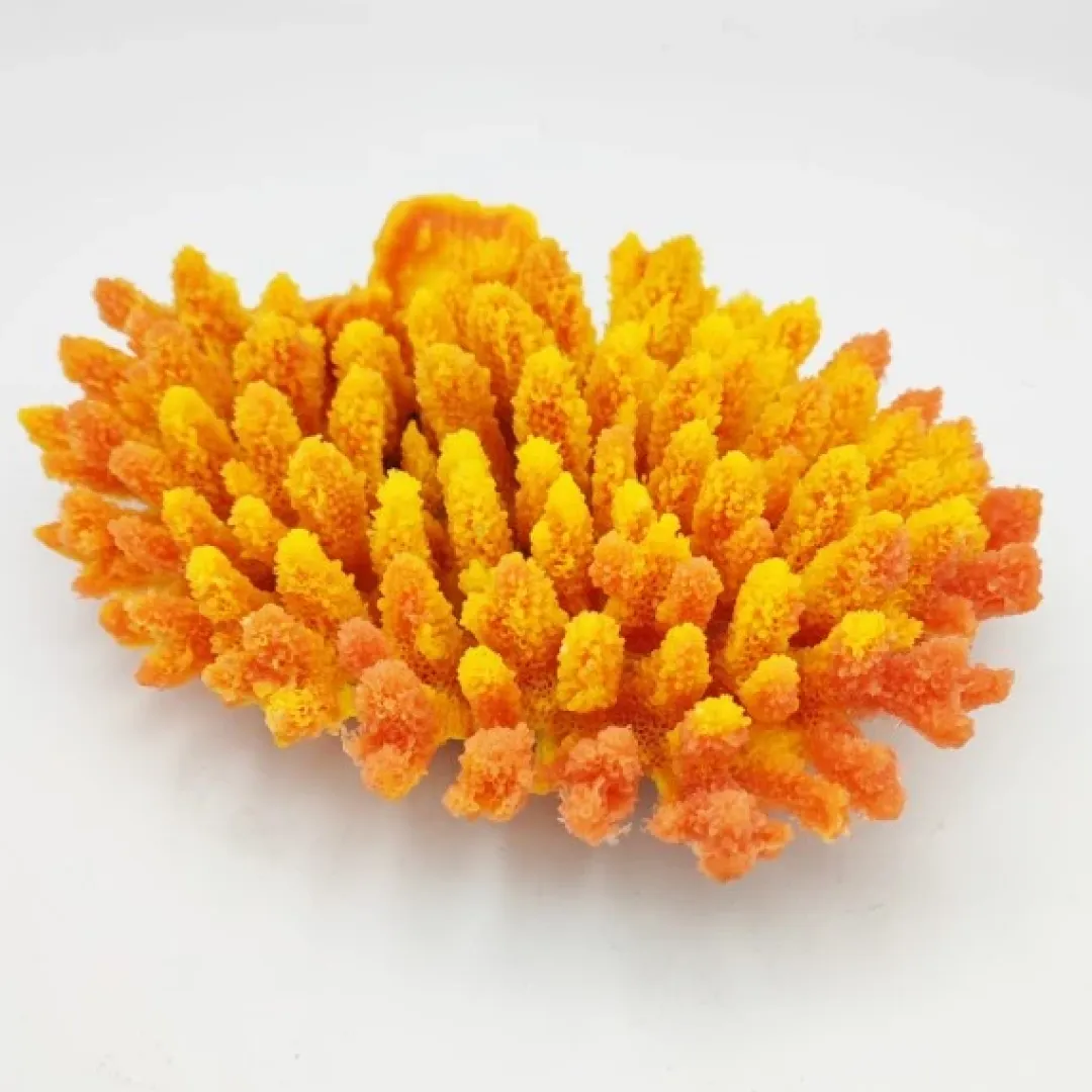 Blau - Aquaristic Kunstig koral Acropora millepora (Yellow/Pink)
