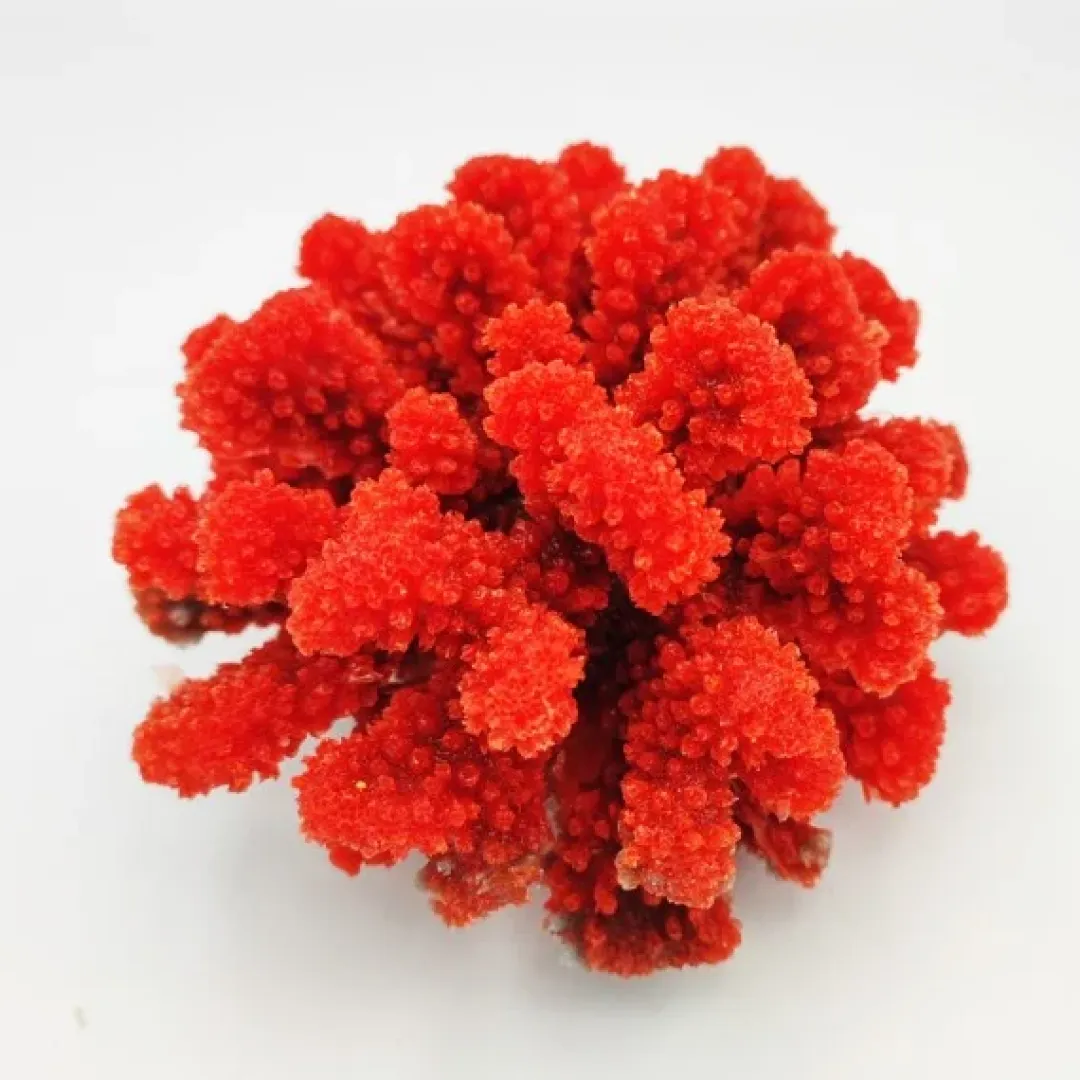 Blau - Aquaristic Kunstig koral Pocillopora verrucosa M (Red)