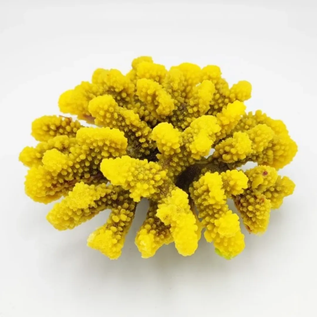 Blau - Aquaristic Kunstig koral Pocillopora verrucosa L (Yellow)