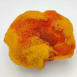 Blau - Aquaristic Kunstig koral Turbinaria reniformis (Orange) 17x16x7 cm